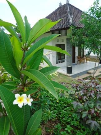 Bingin Family Bungalow Uluwatu Eksteriør bilde